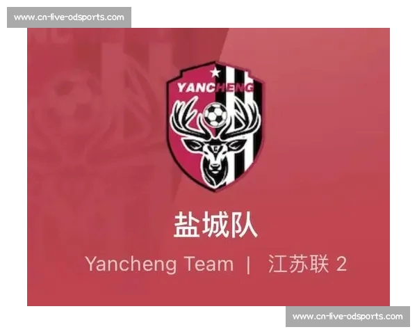 盐城替补奇兵压哨绝杀登顶苏超 盐城替补奇兵压哨绝杀登顶苏超