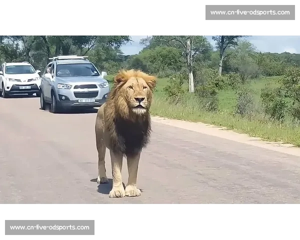 索罗・西科亚加冕全美冠军：实力碾压，何须 “YEET” 狂欢？